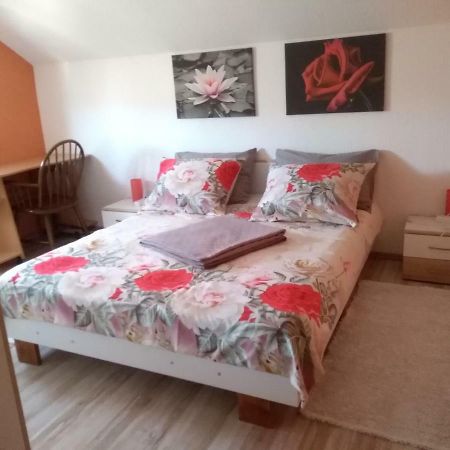 Apartman Franjicic โคเรนนิซา ภายนอก รูปภาพ